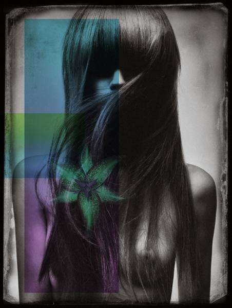 Photograph Gerhard Merzeder Art Collage on One Eyeland